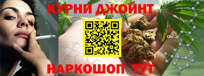 a pvp Новодвинск