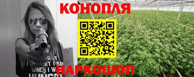 a pvp Новодвинск