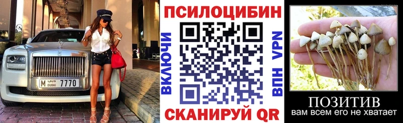 Галлюциногенные грибы Psilocybe  как найти закладки  ссылка на мегу как войти  Шахты 