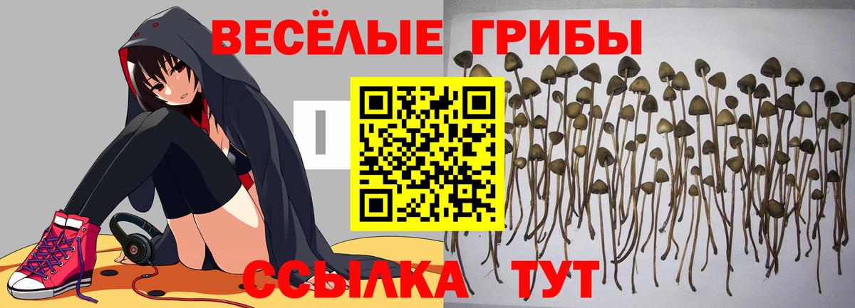 Галлюциногенные грибы Magic Shrooms  Вход с VPN  Галлюциногенные грибы прущие грибы  Шахты 