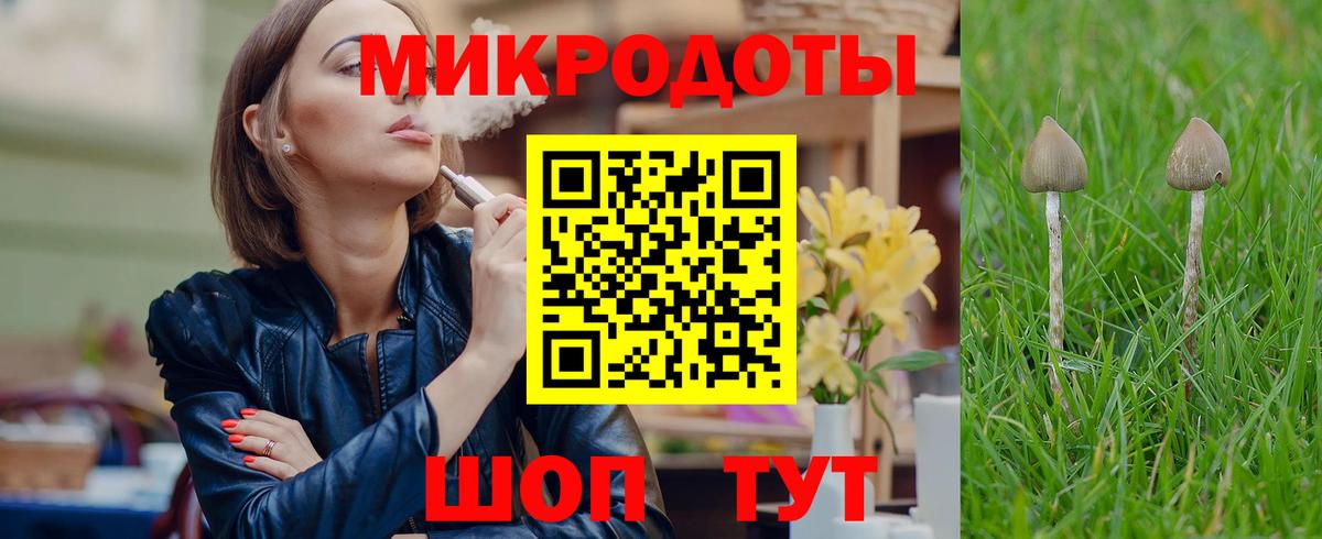 Псилоцибиновые грибы прущие грибы Шахты